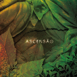 Ascensão