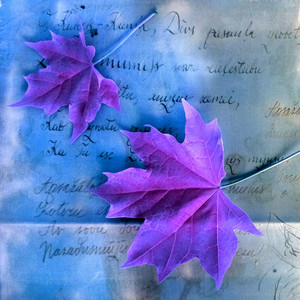 Timsā mani tautas veda