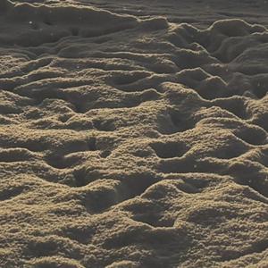 Live Forever (Explicit)