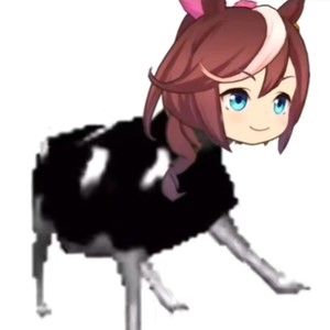 波兰牛马禁毒曲（哈基米）