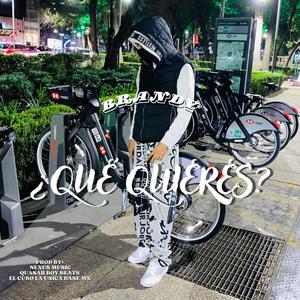Que quieres (feat. Brandy SG) (Explicit)