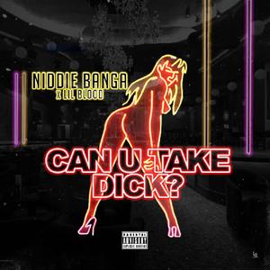 Can you take dick (Explicit)