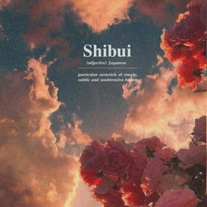 Shibui (feat. H3ZVR) [instrumental]