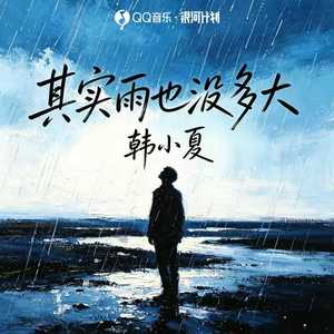 其实雨也没多大 (DJ高赞版)