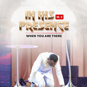 In His Presence, Vol. 12 - When You Are There