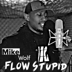 Flow Stupid (Explicit)