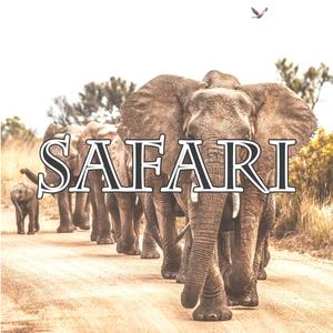 Safari