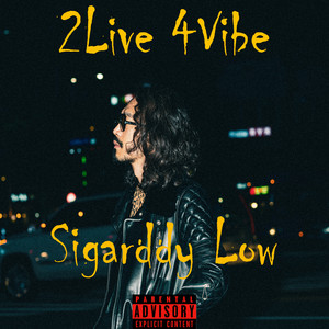 2 Live 4 Vibe (Explicit)