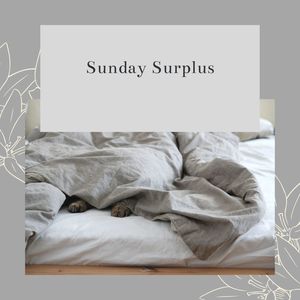 Sunday Surplus