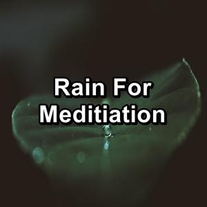 Rain For Meditiation