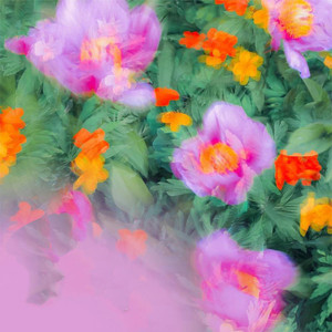 管你回家不回家 (云南山歌)