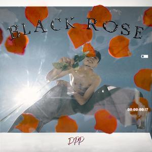 Black Rose