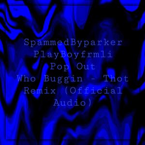Who Buggin (feat. SpammedByparker & PlayBoyfrmli)
