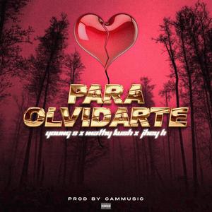 Para Olvidarte (feat. Young S, Mathy Kush & Jhey H) [Explicit]