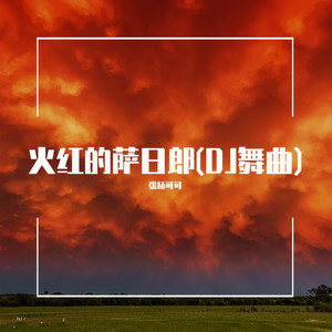 火红的萨日朗 (DJ舞曲)