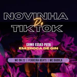 Novinhas Do TikTok (feat. MC DN 22 & MC Badola)