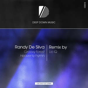 Groovy Forest (Lio Q Remix)