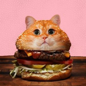 meow (feat. cowbla) (Explicit)