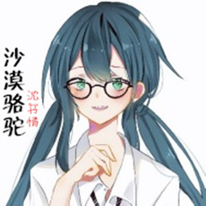 沈书情-沙漠骆驼 (广场舞版|DJheap九天 remix)