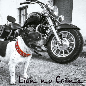 Lion No Crime