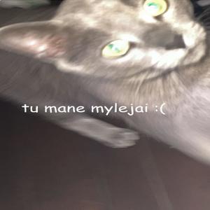 tu mane mylejai : ( (Explicit)