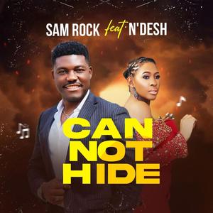 Can Not Hide (feat. N'desh)