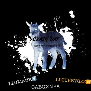 Crash Dat (feat. Sneak3) (Explicit)