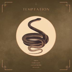 Temptation (Dario Klein Remix)