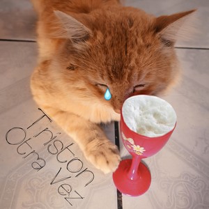 Triston Otra Vez (Explicit)