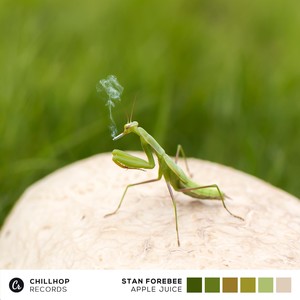 Apple Juice (Original Mix)