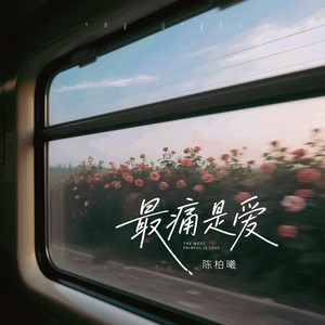 最痛是爱