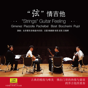 D大调卡农 Canon in D major (伴奏)