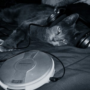 reject (super slowed|Explicit)