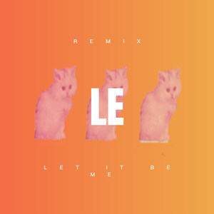 你一定会成功 (DJ版)