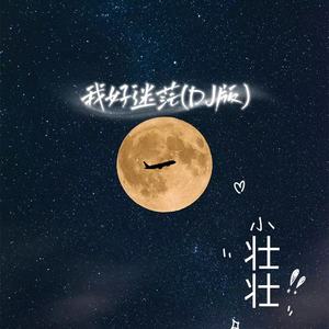 我好迷茫 (DJ版)