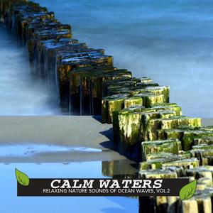 Calm Waters - Relaxing Nature Sounds of Ocean Waves, Vol.2