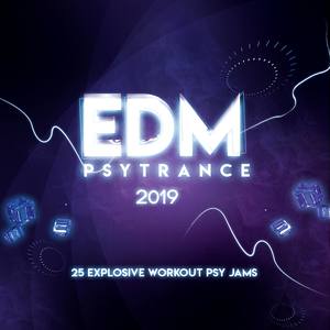 EDM Psytrance 2019