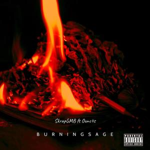 Burning Sage (feat. Ounc4s) [Explicit]