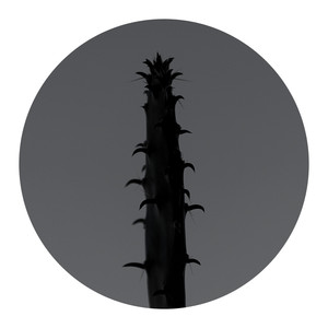 Spring (_moru Remix)