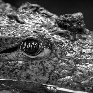 Crocodile Tears (Explicit)