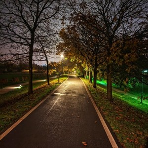 Glücksgefühle (Explicit)