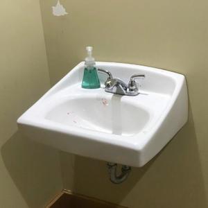 bats vs. the world (Explicit)