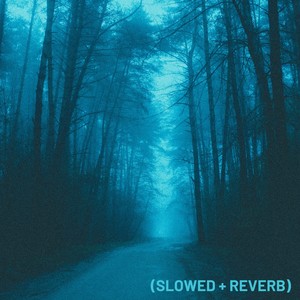 Oneheart (Slowed + Reverb)