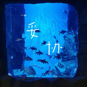 妥协
