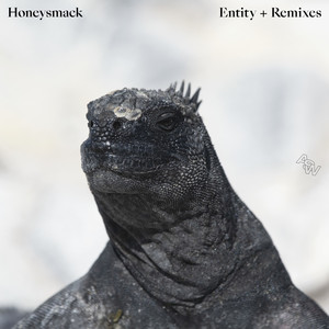 Entity (CJ Bolland Remix)