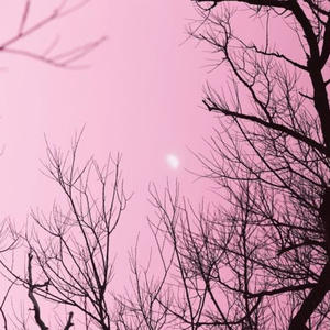 Same **** Nothing Changes (feat. FøRD) (Explicit)