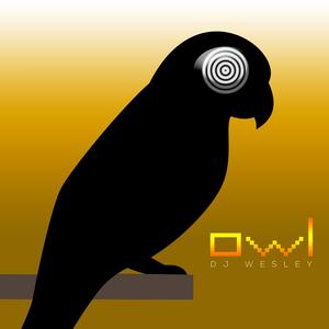 owl (Instrumental)