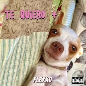 T quiero +