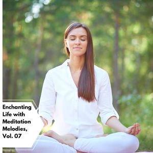 Enchanting Life With Meditation Melodies, Vol. 07