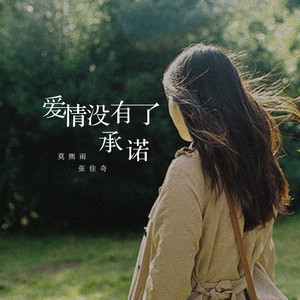 爱情没有了承诺